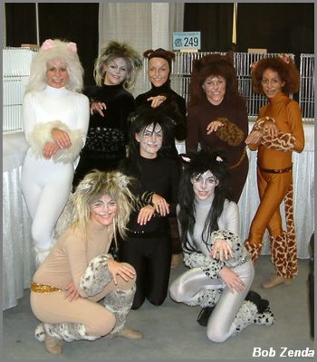 CFA's Dancing Cats in NYC